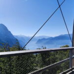 From Vienna: Hallstatt and Treetop Path Private Day Trip - Practical Tips for Your Day Out