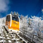 From Vienna: Hallstatt Day Trip with boatride & Schloss Ort - Good To Know