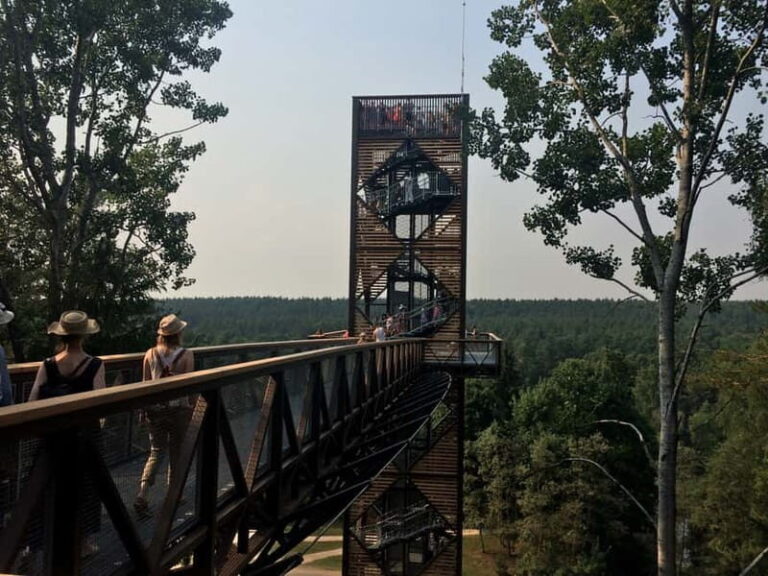 From Vilnius: Anykiai & The Hill of Crosses Day Trip - Practical Details & What You’ll Experience