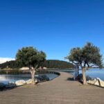 From Vlora: Zvernec, Apollonia & Berat Day Tour - Overview of the Tour Experience