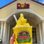 From Waikiki: Oahu Circle Island Tour - Why Travelers Love This Tour