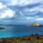 From Waikiki: Oahu Scenic Half-Day Circle Island Tour - The Value of This Tour