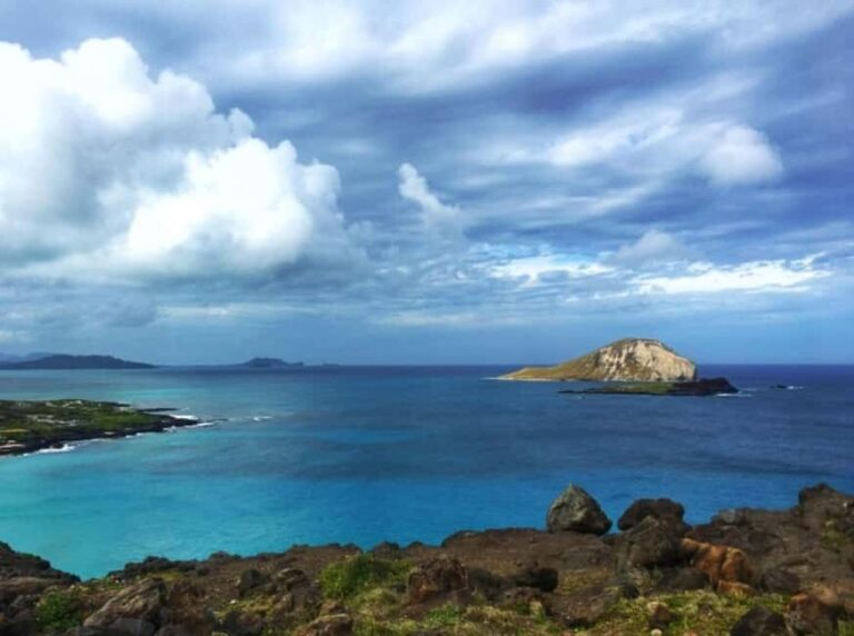 From Waikiki: Oahu Scenic Half-Day Circle Island Tour - The Value of This Tour