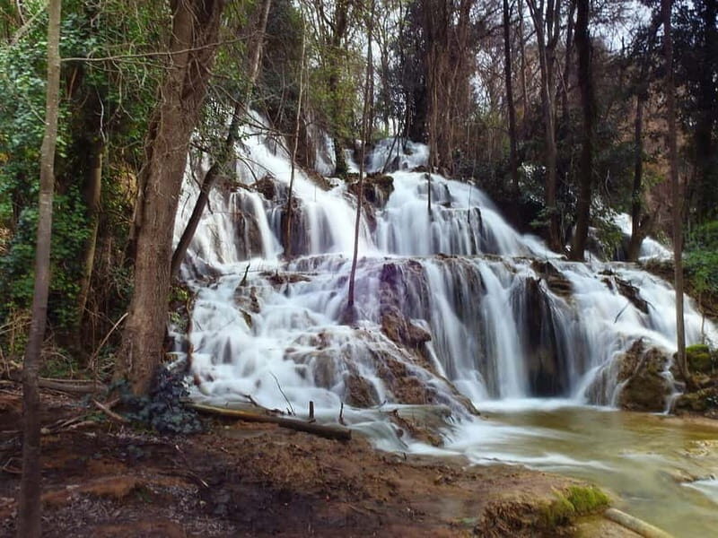 From Zadar: Krka National Park Full-Day Tour from Zadar - The Practicalities and Value