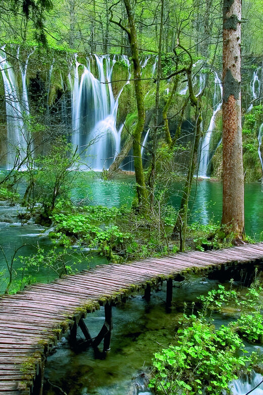 From Zadar: Plitvice Lakes Day Tour - Experience Overview