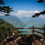 From Zlatibor/Uice: Mokra Gora & Tara National Park - Transportation & Group Dynamics