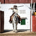 Fuengirola: Spanish Horse Show with Optional Dinner/Flamenco - Good To Know