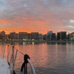 Fuengirola: Sunset Boat Tour - Cocktail Dinner & Champagne - The Itinerary: What’s Included