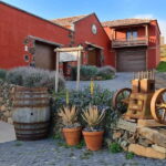 Fuerteventa: Ajuy Pirate Caves & Aloe Factory Half-Day Trip - The Itinerary: What to Expect