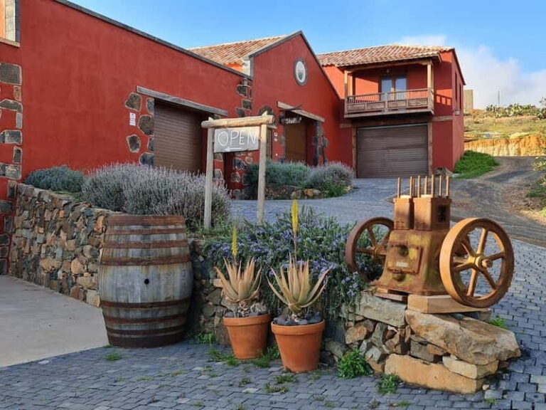 Fuerteventa: Ajuy Pirate Caves & Aloe Factory Half-Day Trip - The Itinerary: What to Expect