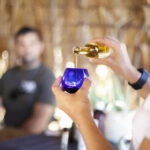 Fuerteventura Aloe & Olivo Tour with Optional Lunch - The Value and Practicalities