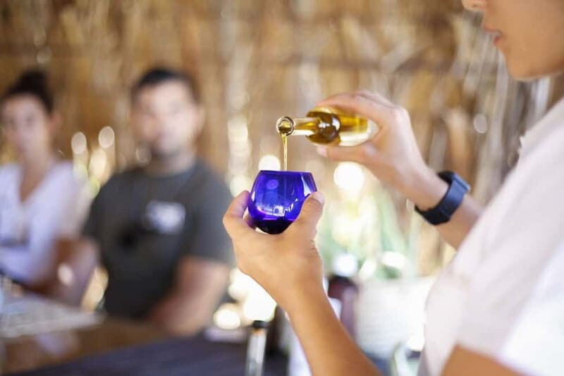 Fuerteventura Aloe & Olivo Tour with Optional Lunch - The Value and Practicalities