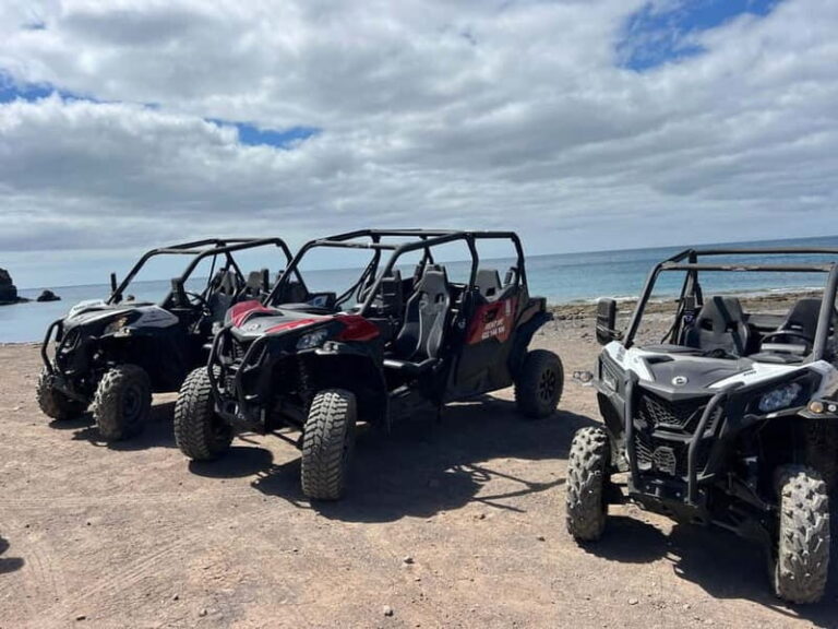 Fuerteventura: Can am buggy experience Costa Calma - The Experience and Guides