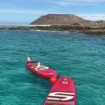 Fuerteventura: Dolphin watching and Lobo Island Combo Cruise - An In-Depth Look at the Fuerteventura Dolphin and Lobo Island Cruise