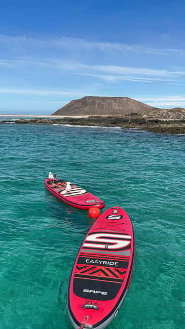 Fuerteventura: Dolphin watching and Lobo Island Combo Cruise - An In-Depth Look at the Fuerteventura Dolphin and Lobo Island Cruise