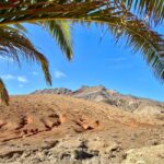 Fuerteventura Hiking on the sacred mountain El Cardon - Final Thoughts: Who Will Love This Tour?