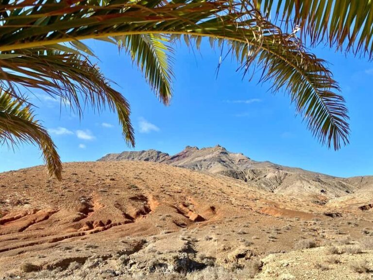 Fuerteventura Hiking on the sacred mountain El Cardon - Final Thoughts: Who Will Love This Tour?