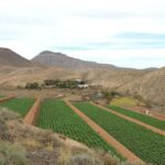 Fuerteventura: Island Highlights Guided VIP Sightseeing Tour - Mirador del Risco de Las Peñas and Guise y Ayose