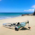 Fuerteventura: Transparent Electric Kayaks with Guide - What to Expect from the Tour