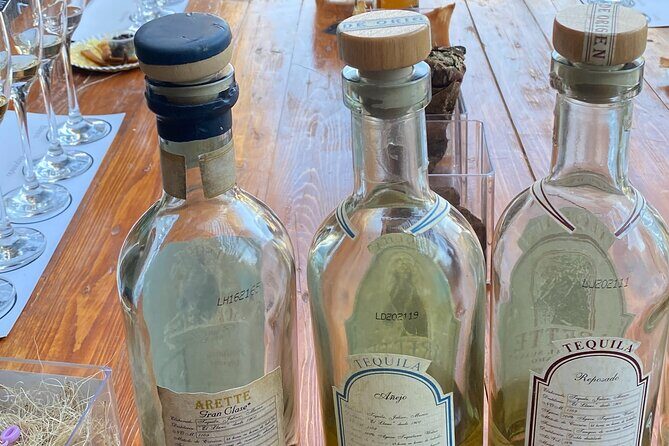 Full CDMX Experience | Prepare Your Own Tequila, Eat Tacos & Take a Dance Class - Areas to Consider