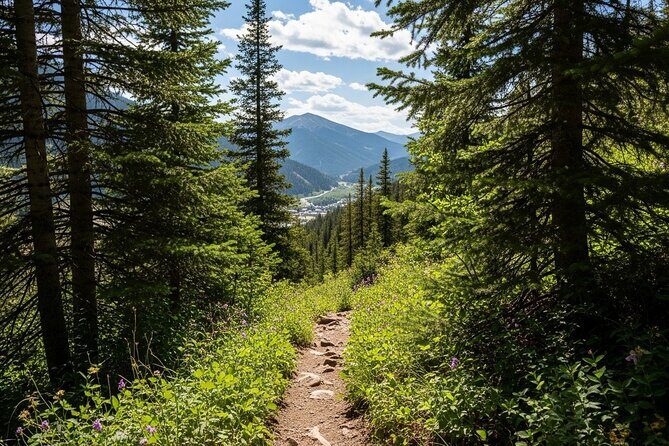 Full Day Adventure in the Heart of the San Juan Mountains - Pricing and Value
