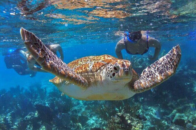 Full Day Boat Tour with Open Bar and Lunch in Riviera Maya - Practical Details and Tips