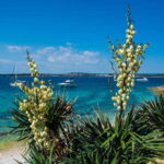 Full-Day Boat Trip, Cave Swim, lunch & Drinks - Medulin/Ceja - What We Love About This Tour