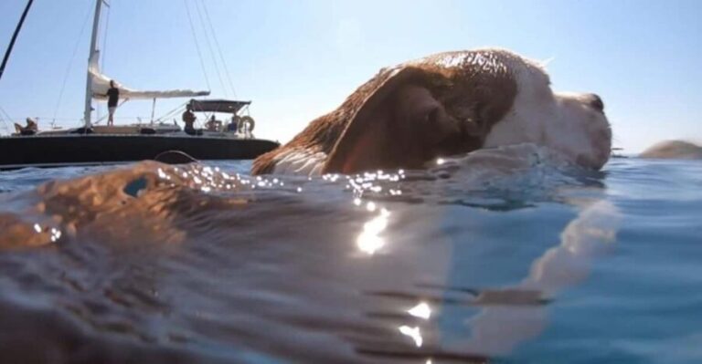 Full Day Cruise in Athenian Riviera - An In-Depth Look at the Full Day Athenian Riviera Cruise