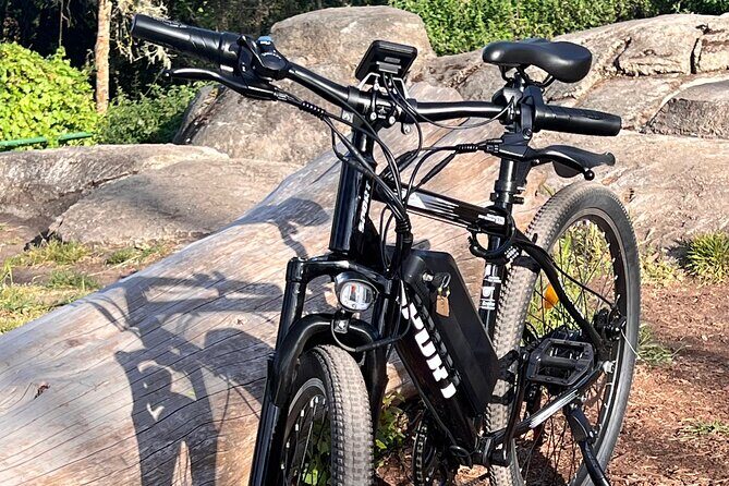 Full Day E-Bike Rental in San Francisco Charger Included! - The Sum Up