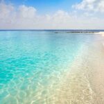 Full-Day El Cielo Snorkel Tour in Cozumel with Transportation and Lunch - Final Thoughts: Is This Tour Right for You?