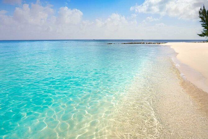 Full-Day El Cielo Snorkel Tour in Cozumel with Transportation and Lunch - Final Thoughts: Is This Tour Right for You?