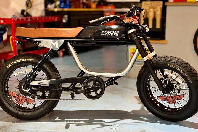 Full Day Electric Bike Rental in Galveston Texas - Final Thoughts