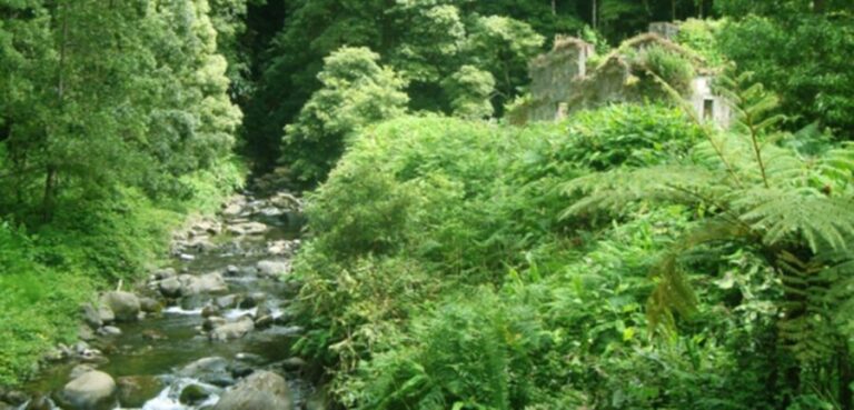 Full-Day Faial da Terra + Nordeste from Ponta Delgada - The Practicalities: What’s Included and What to Know