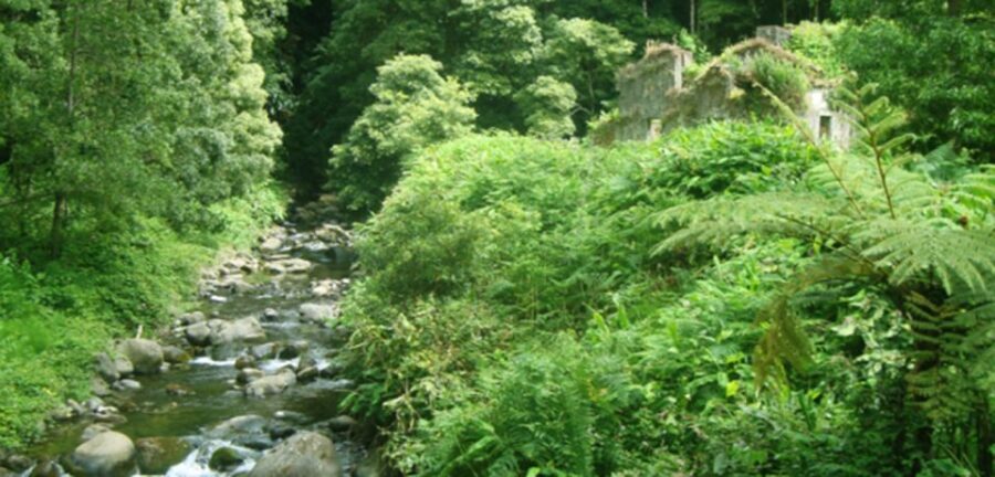 Full-Day Faial da Terra + Nordeste from Ponta Delgada - The Practicalities: What’s Included and What to Know