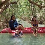 Full Day Guided Mangrove Bote Ride & Sisal Beach Time - The Itinerary in Detail