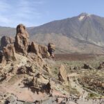 Full Day Guided Tour of Teide by Cabrio Bus - Who Should Book This Tour?