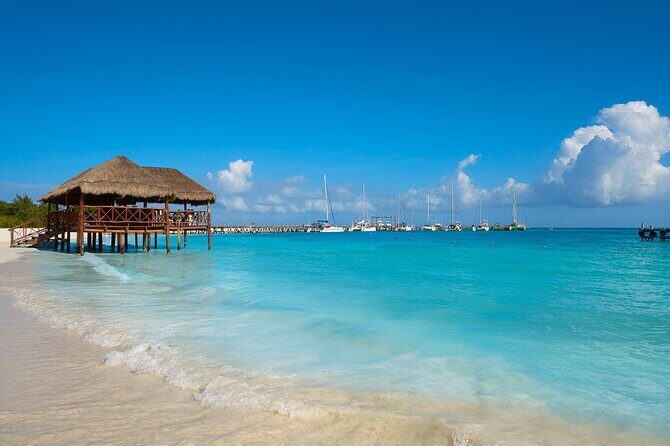 Full day pass in the best Beach Club in the Riviera Maya. Transport included - Why This Experience is Worth Considering  