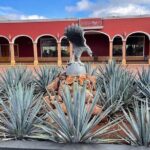 Full Day Private Guided Tour of Arandas Jalisco Distilleries - Why This Tour Works