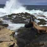 Full Day Private SD Tour from Leucadia - What Reviewers Say