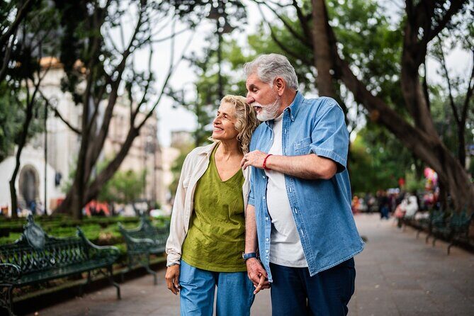 Full-day private tour from Mexico city to Coyoacán - What’s Included — And What’s Not