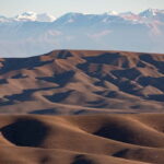 Full-day Private Wilderness tour in Vashlovani National Park - Wildlife Encounters and Nature