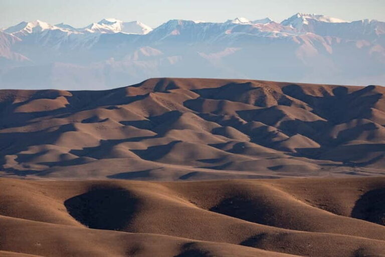 Full-day Private Wilderness tour in Vashlovani National Park - Wildlife Encounters and Nature