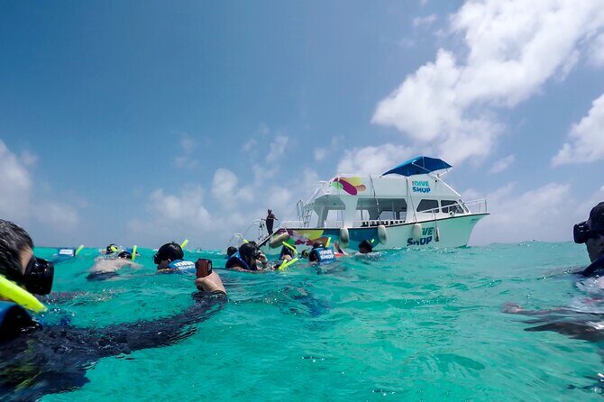 Full-Day Reef Snorkeling in Cozumel from Cancun with Lunch - The Logistics and Practical Details