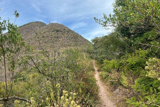 Full Day Teotitlan Del Valle Village Private Tour - What’s Included and Practicalities