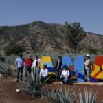 full day Tequila tour visiting artisanal distillery and downtown. - Transportation and Group Size