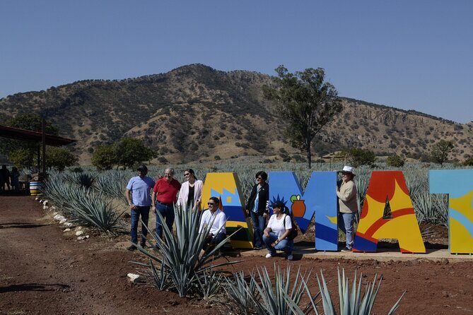 full day Tequila tour visiting artisanal distillery and downtown. - Transportation and Group Size