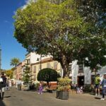 Full Day Tour of Santa Cruz and San Cristóbal de La Laguna - Parque Rural de Anaga: Breathtaking Mountain Views