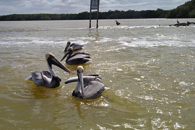 Full Day Tour Río Lagartos with Pickup from Mérida 7 AM - Final Thoughts: Is This Tour Worth It?