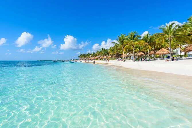 Full Day Tour Snorkeling with Turtles in Akumal, Tulúm and Playa del Carmen - What’s Included and What’s Not