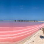 Full day tour to Rio Lagartos and Las Coloradas from Riviera Maya - What We Liked About the Tour